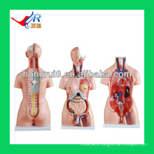 85CM Unisex Torso Model 85cm(23parts),human torso